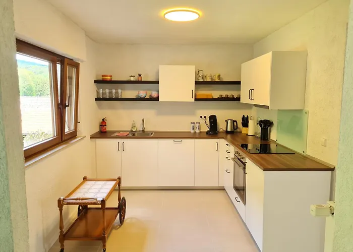 Dom wakacyjny Birds-nest Balkon Waldblick Kamin Darstein