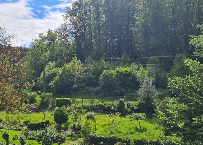 Birds-nest Balkon Waldblick Kamin *