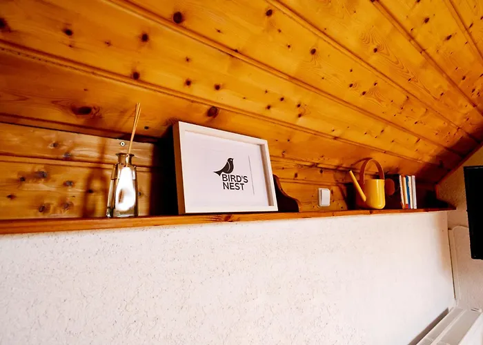 Birds-nest Balkon Waldblick Kamin *